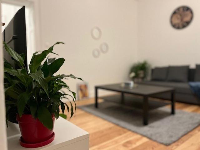 Cosy Rent-Strasbourg Gare 1-Wifi Διαμέρισμα Εξωτερικό φωτογραφία