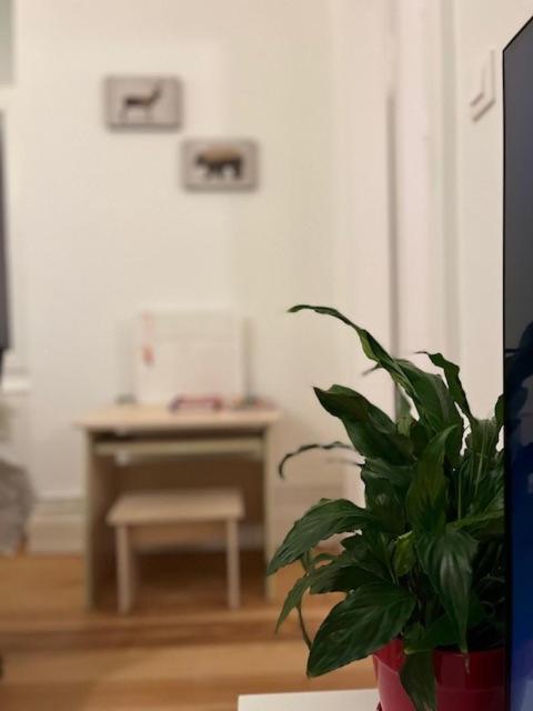 Cosy Rent-Strasbourg Gare 1-Wifi Διαμέρισμα Εξωτερικό φωτογραφία